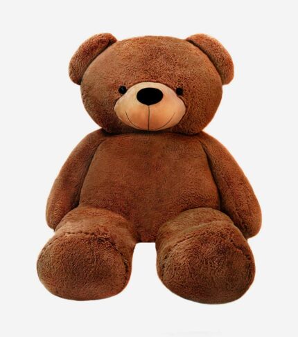dark brown teddy bear 2m bigted
