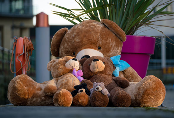 bigted teddies whole range selection of brown fluffy bears