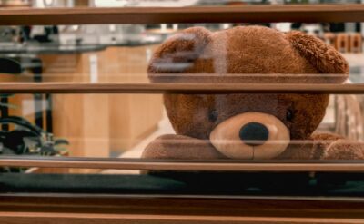cute dark brown bigted teddy bear looking sad