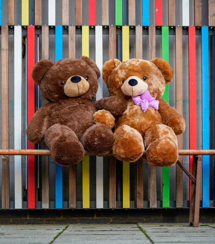 cute romantic valentines brown teddy bears holding hands