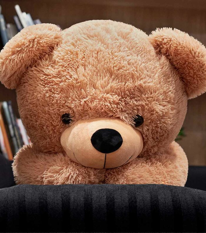 teddy bear sitting wondering