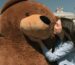 girl kissing huge brown teddy bear